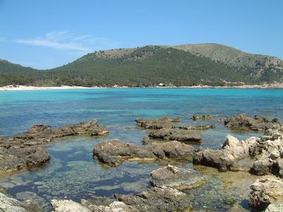 DSCF0121.JPG